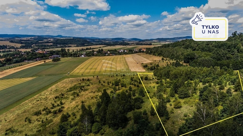 Działka rolna na sprzedaż Bierkowice  17 800m2 Foto 1