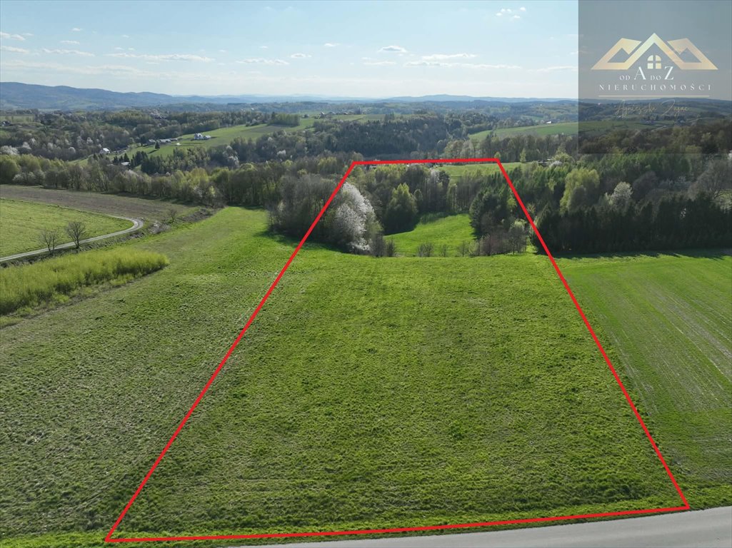 Działka na sprzedaż 19 800 m2 w Zalasowej – atrakcyjna oferta Zalasowa  19 800m2 Foto 1