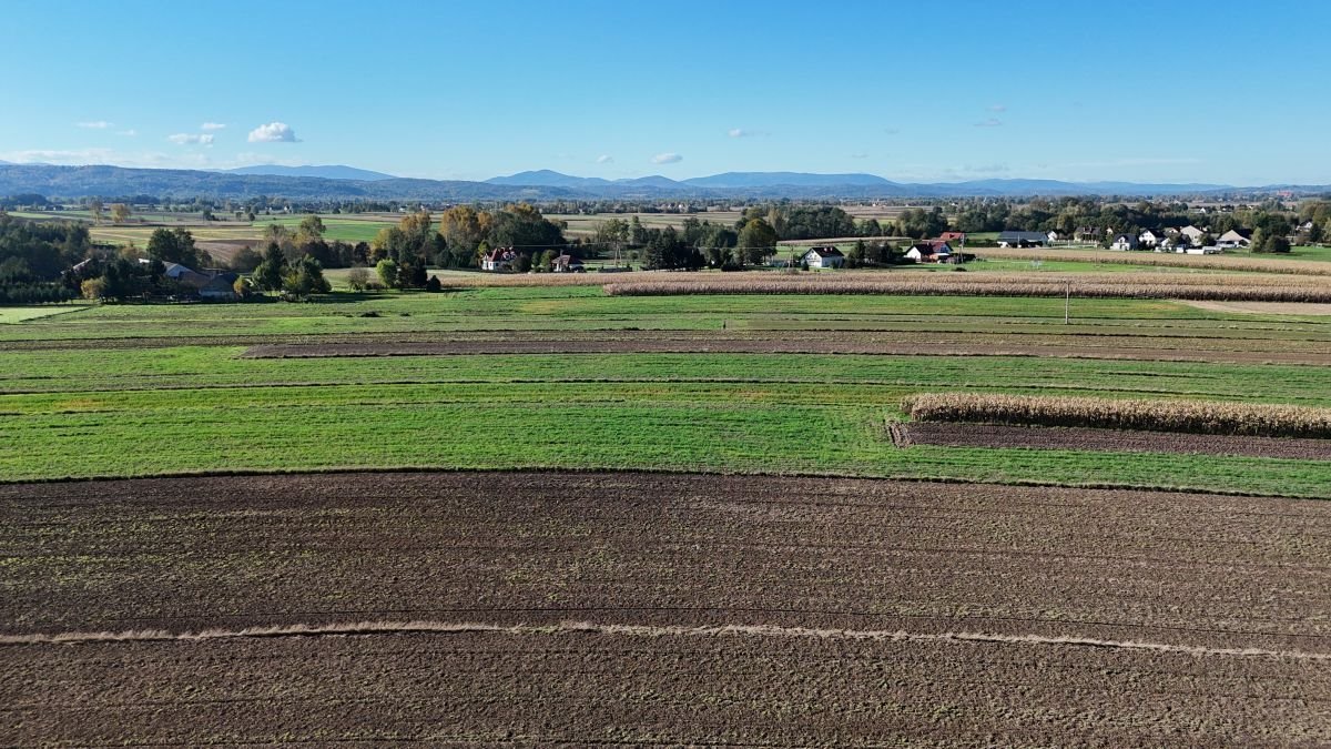 Działka rolna na sprzedaż Książnice, Książnice  13 700m2 Foto 12