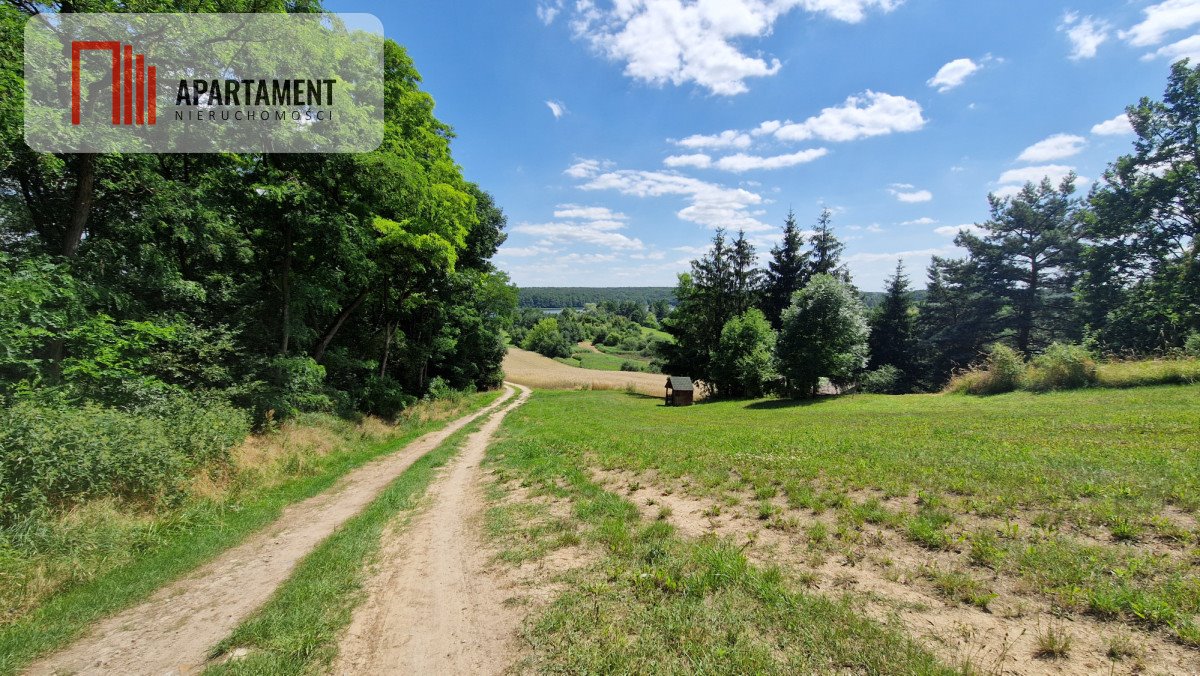 Działka gospodarstwo rolne na sprzedaż Chomiąża Księża  11 822m2 Foto 1