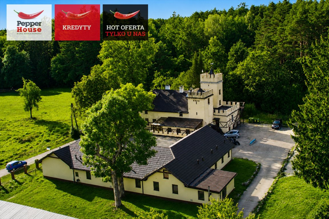 Do sprzedania unikatowy zamek z basenem 1050 m² w Chudaczewku Chudaczewko  1 050m2 Foto 1