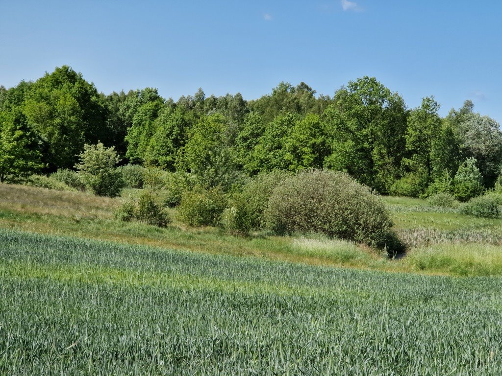 Działka budowlana na sprzedaż Szarłata, Spadzista  15 977m2 Foto 18