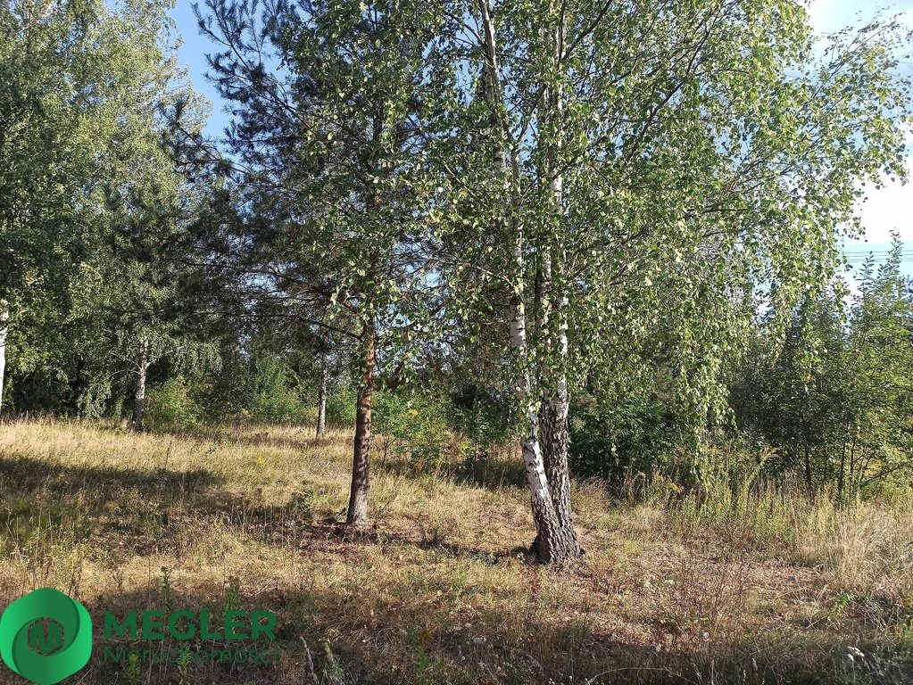 Działka budowlana na sprzedaż Jastrzębnik  1 400m2 Foto 5