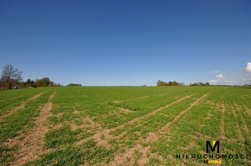 Działka budowlana na sprzedaż Bardy  60 400m2 Foto 12