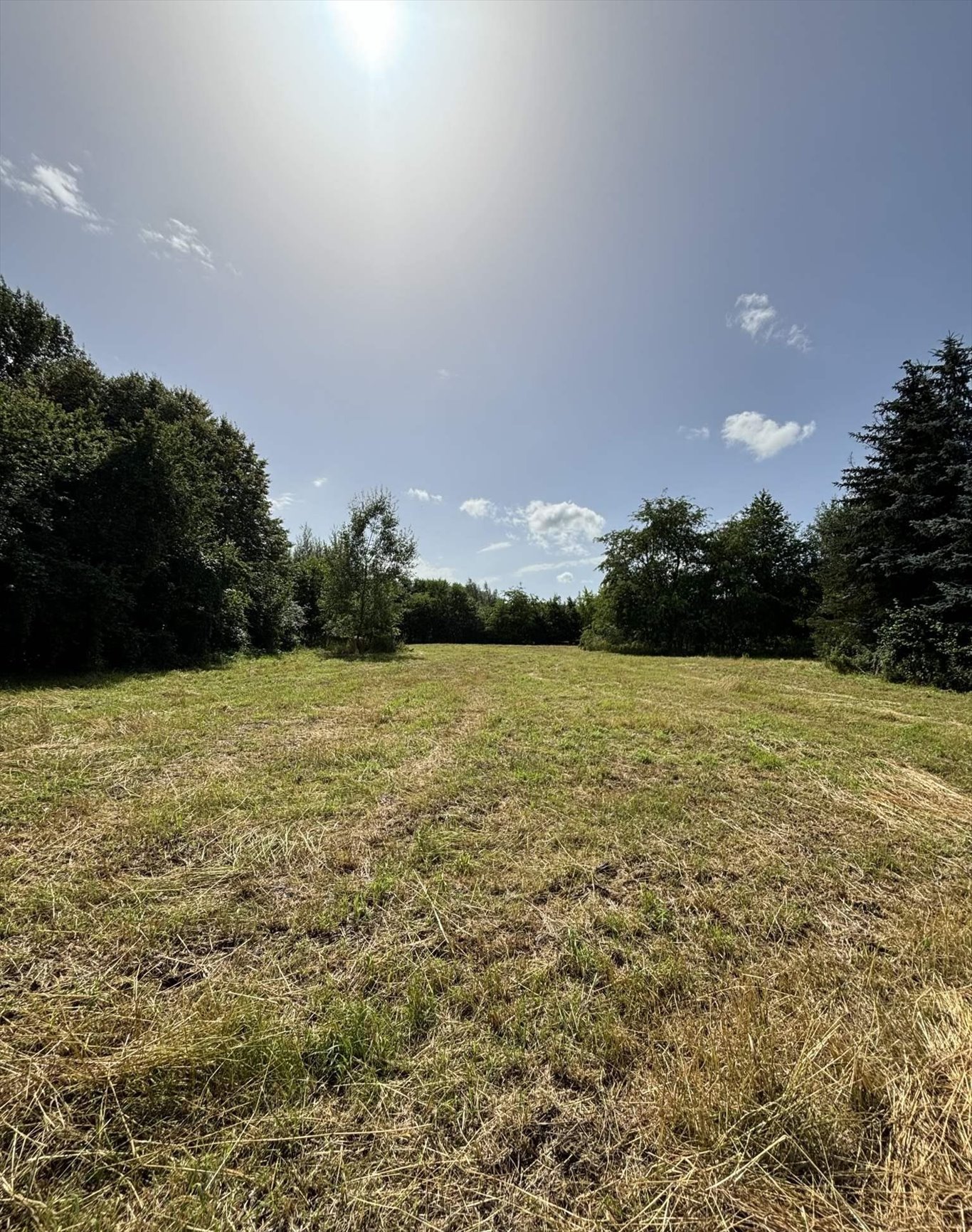 Działka budowlana na sprzedaż Wołowice  7 100m2 Foto 1