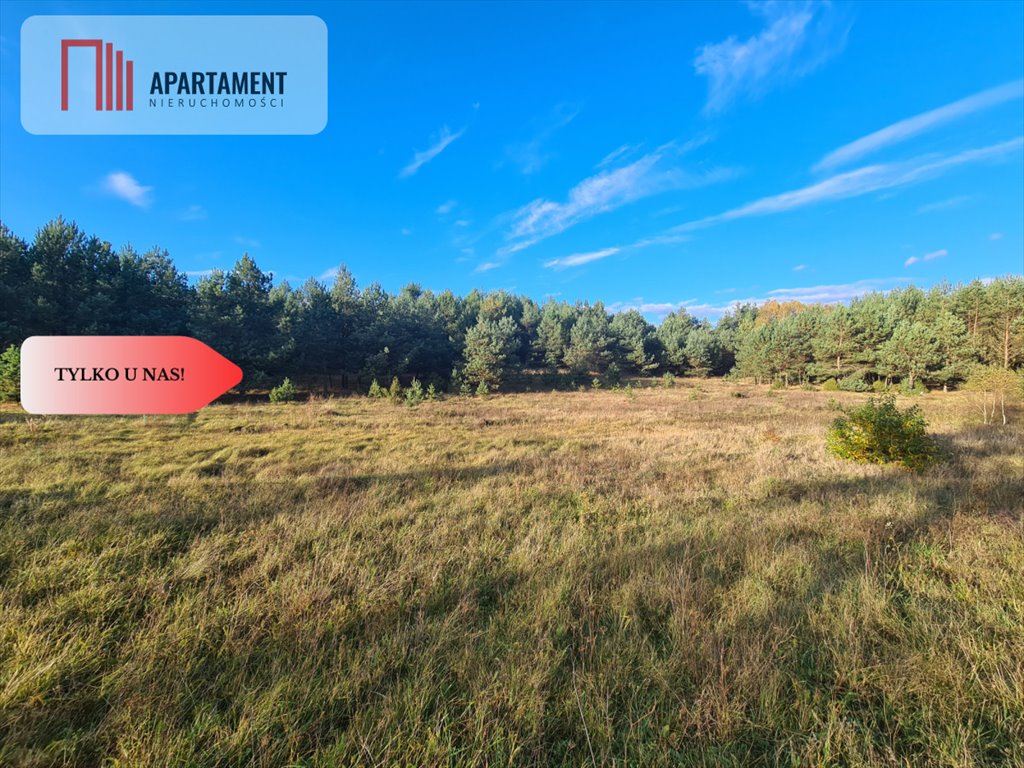 Działka budowlana na sprzedaż Tuszkowy  1 000m2 Foto 3