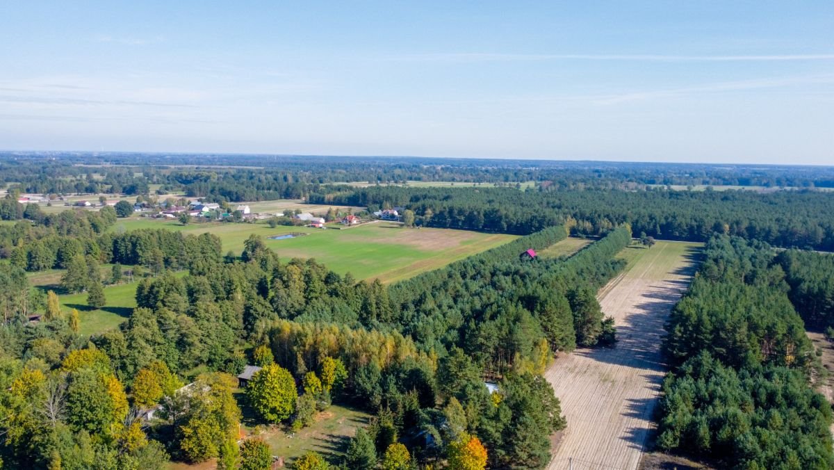 Działka rekreacyjna na sprzedaż Michałowo  2 900m2 Foto 6