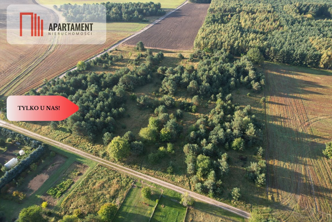 Zapraszam do zakupu działek w Brzeziu z warunkami zabudowy Brzezie  3 400m2 Foto 1