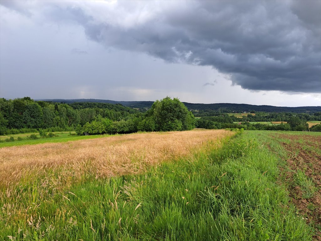 Działka rolna na sprzedaż Sieklówka  8 575m2 Foto 2