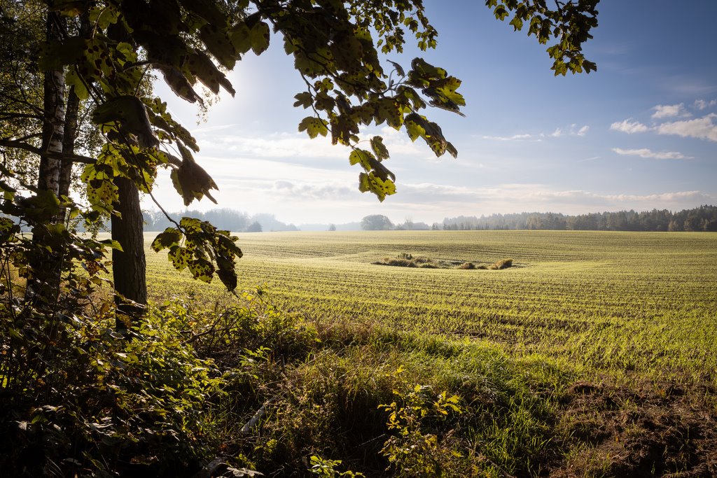 Malownicza działka pod zabudowę w Skrzynkach nad jeziorem Skrzynki  3 191m2 Foto 1