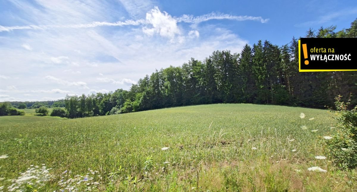 Działka rolna na sprzedaż Łęcze  66 300m2 Foto 8