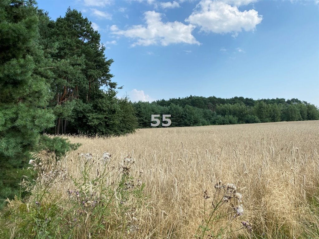 Działka inna na sprzedaż Stary Adamów  48 000m2 Foto 3