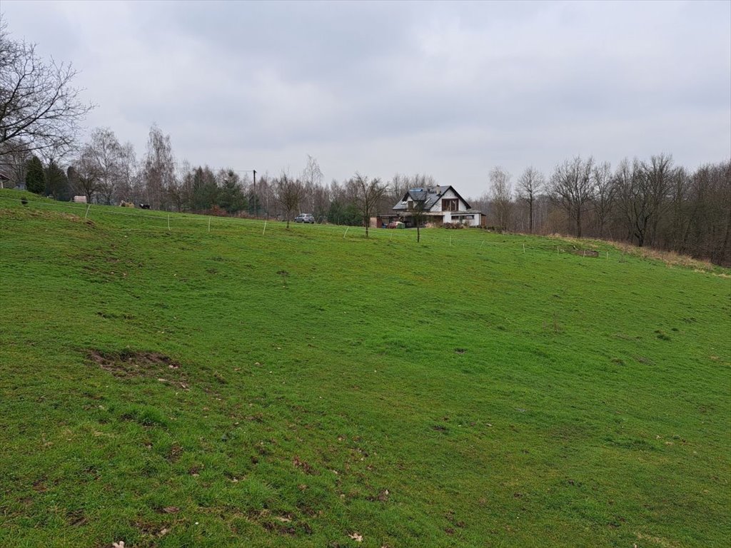 Działka budowlana na sprzedaż Chorowice, Chorowice  3 423m2 Foto 10