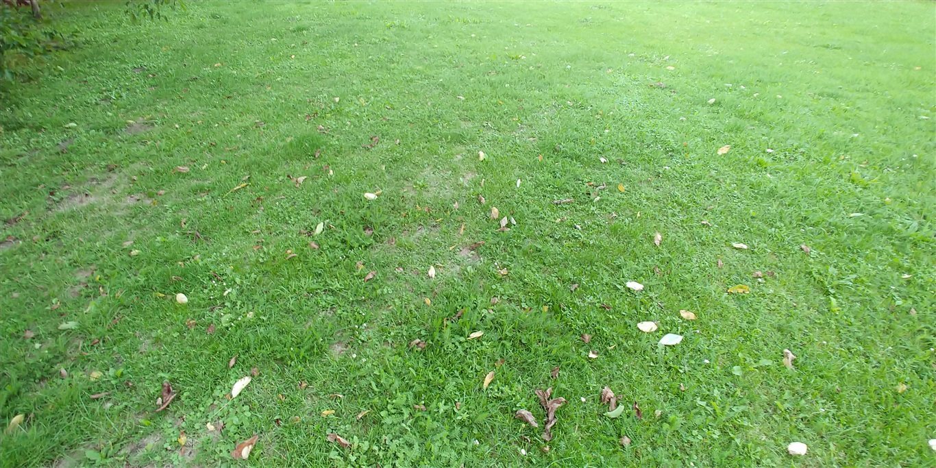 Działka budowlana na sprzedaż Batowice 1 500m2 Foto 1 Działka budowlana na sprzedaż Batowice 1 500m2 Foto 1