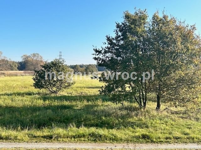 Działka rolna na sprzedaż Wrocław, Psie Pole, Kowale, boczna Lechitów  4 032m2 Foto 3