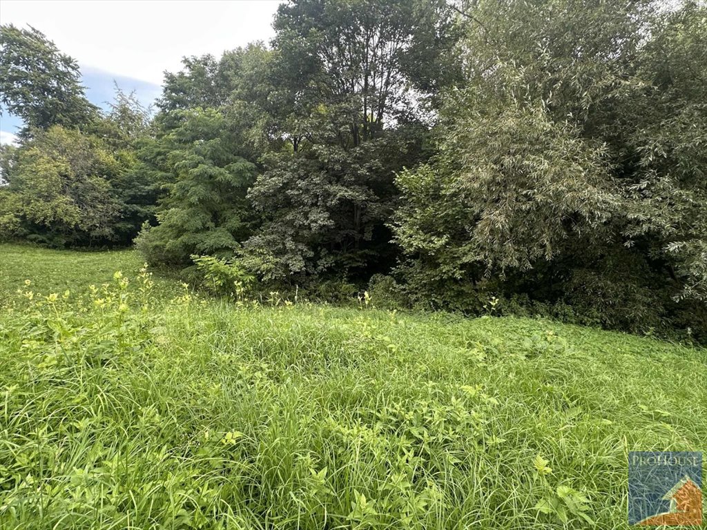 Na sprzedaż działka 4200 m² z dostępem do asfaltu Nowe Rybie  4 200m2 Foto 1