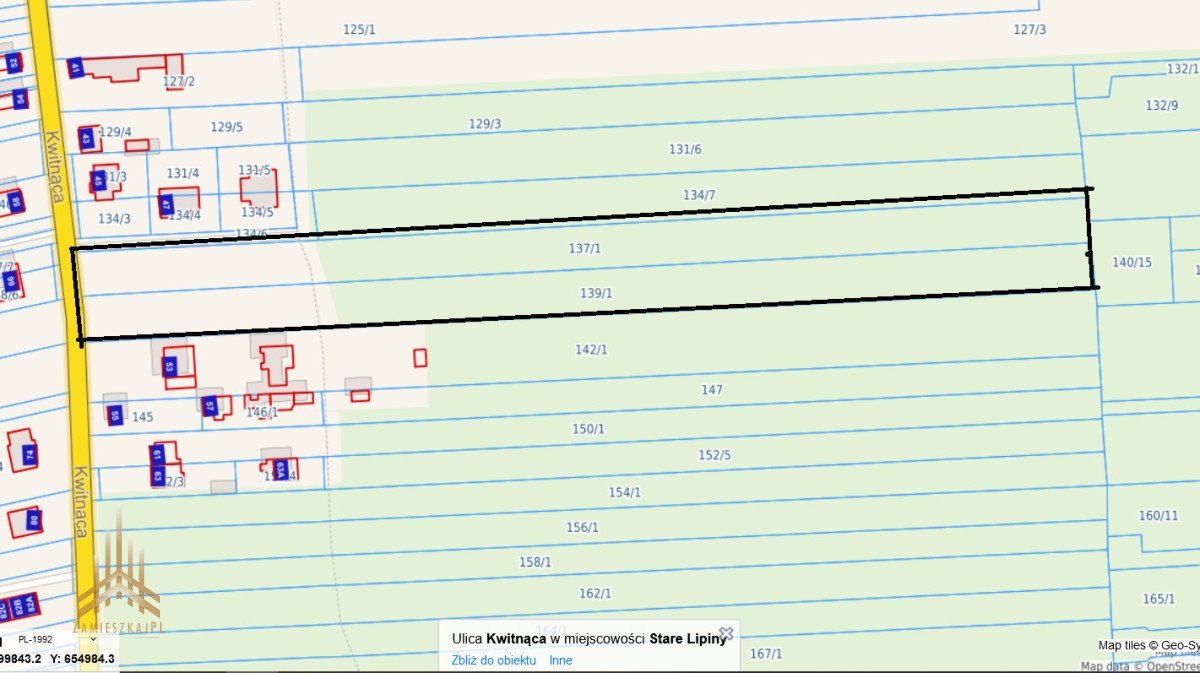 Działka rolna na sprzedaż Stare Lipiny, Kwitnąca  12 254m2 Foto 6