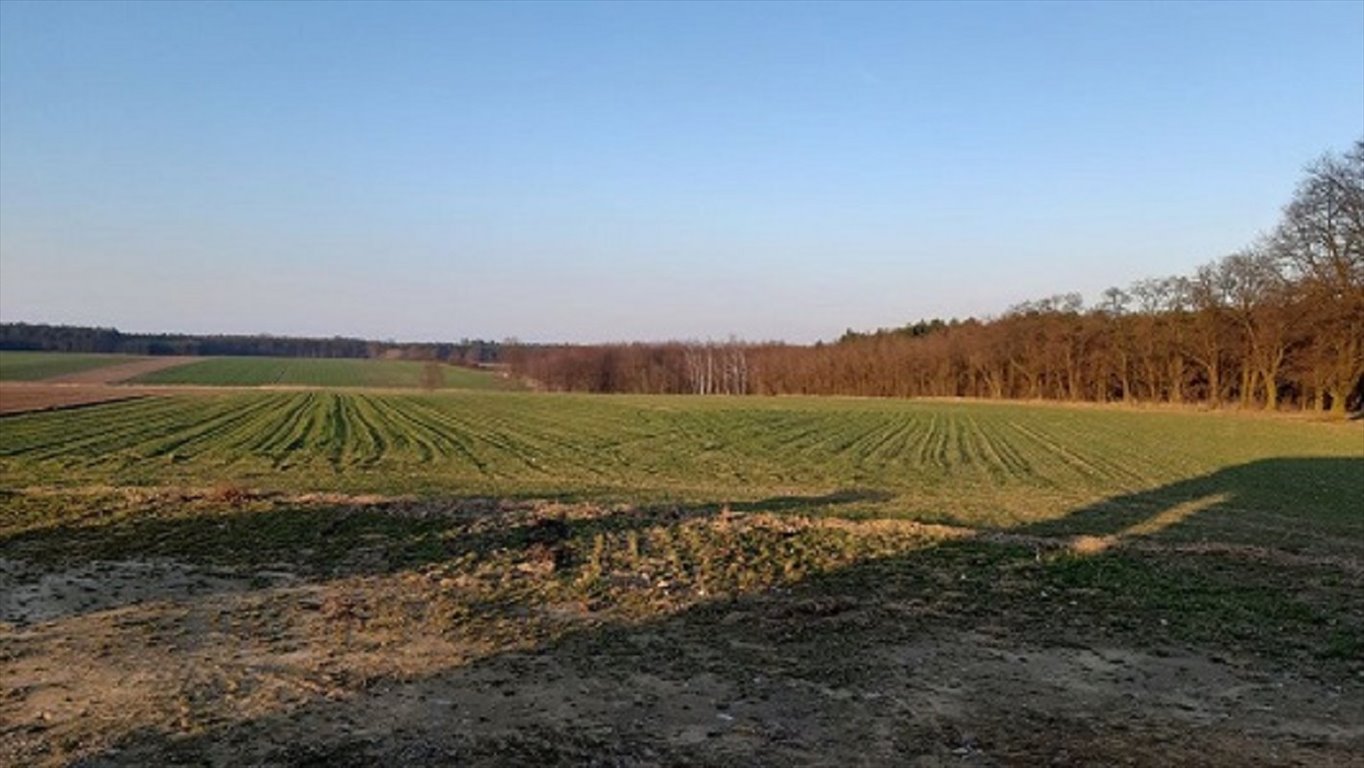 Działka budowlana na sprzedaż Ceków-Kolonia, Kamień  990m2 Foto 1