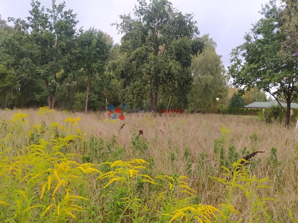 Działka budowlana na sprzedaż Kajetany  1 000m2 Foto 4