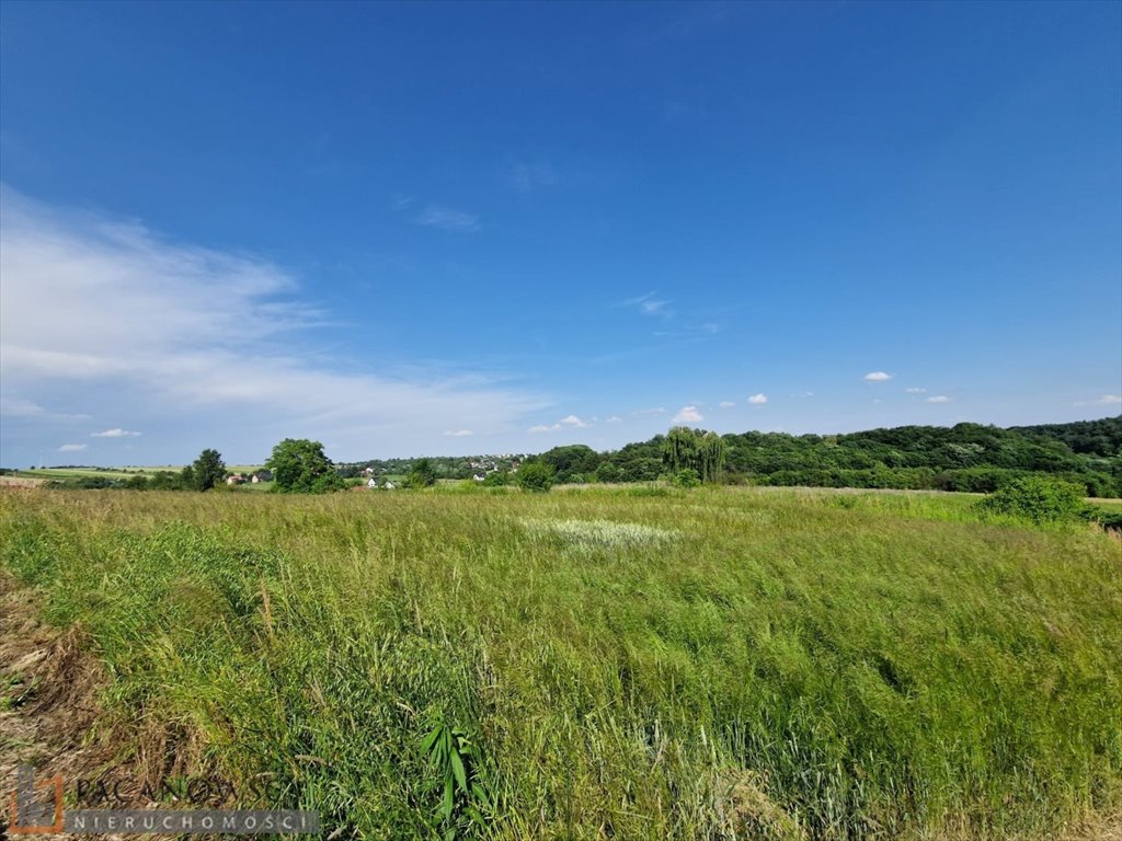 Działka 4,87 ha w Cianowicach Małych, media w drodze Cianowice Małe  4 870m2 Foto 1