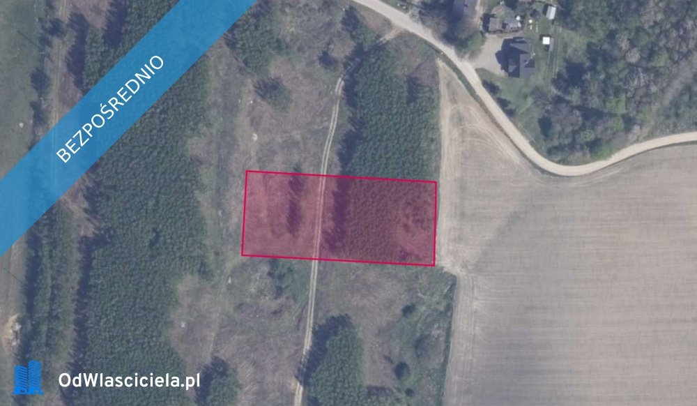 Działka na sprzedaż w Bielkówku 3 334 m2 – bez prowizji! Bielkówko  3 334m2 Foto 1