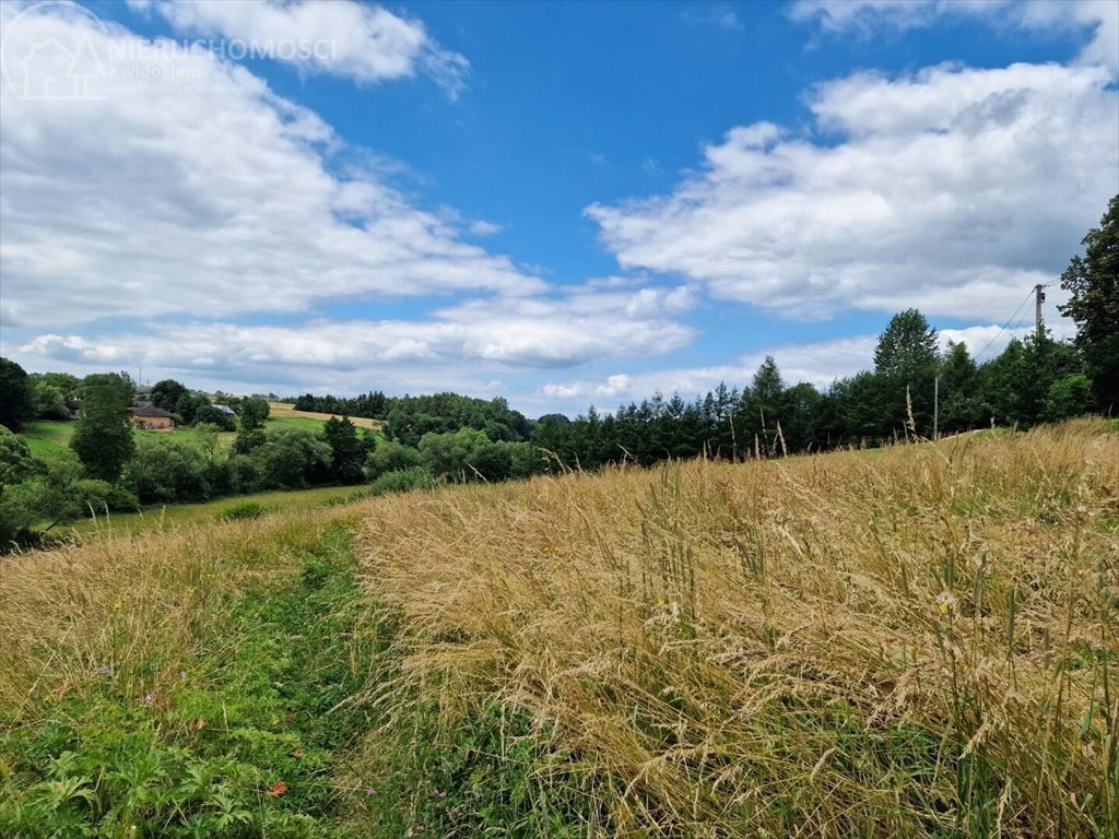 Działka budowlana na sprzedaż Sitnica  10 602m2 Foto 5