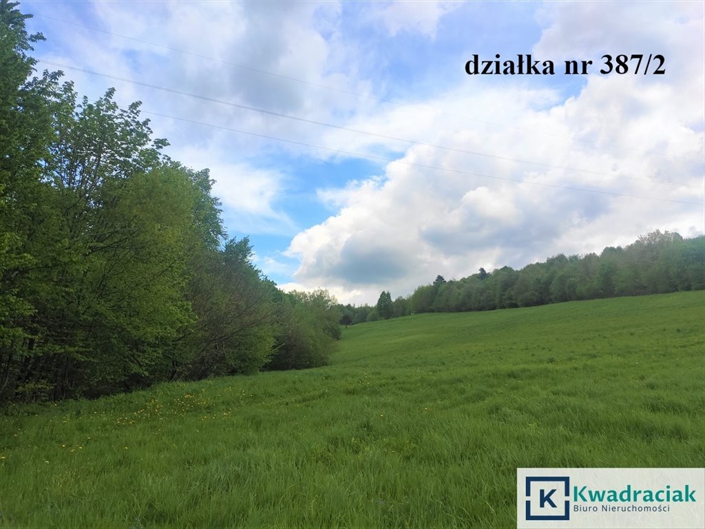 Działka budowlana na sprzedaż Leszczawka  41 000m2 Foto 7