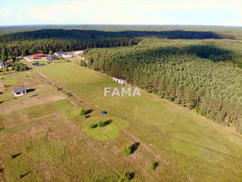 Działka budowlana na sprzedaż Kowal, Dębniaki  4 200m2 Foto 3