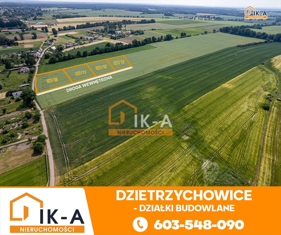 Działka budowlana na sprzedaż Dzietrzychowice, Dzietrzychowice  1 400m2 Foto 6