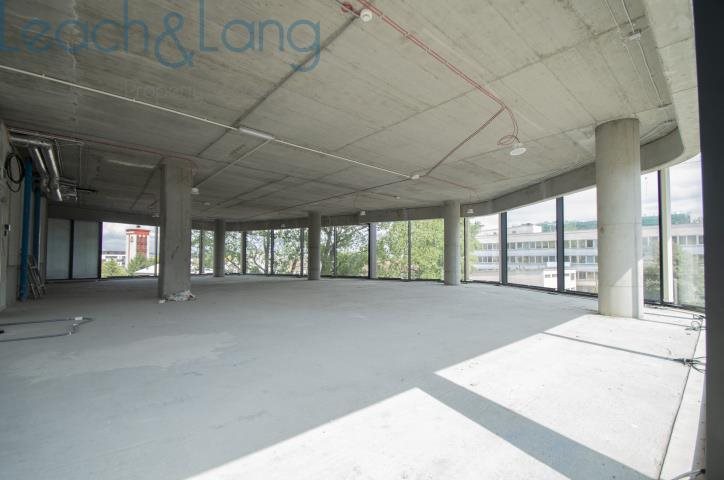 Lokal użytkowy na wynajem Kraków, Podgórze, Wadowicka 322m2 Foto 1 Lokal użytkowy na wynajem Kraków, Podgórze, Wadowicka 322m2 Foto 1