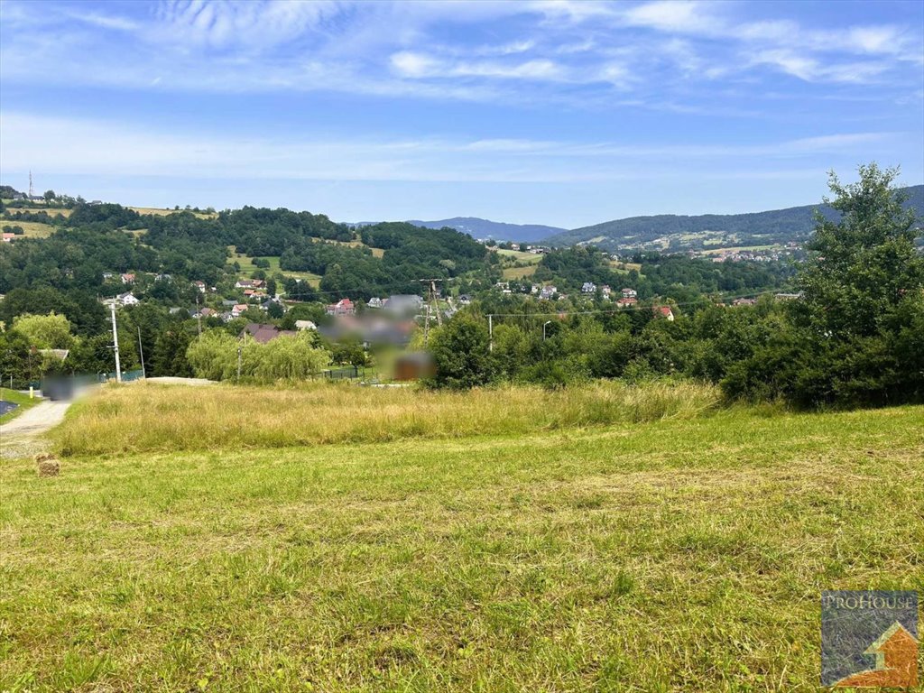 Działka budowlana na sprzedaż Limanowa  3 330m2 Foto 13