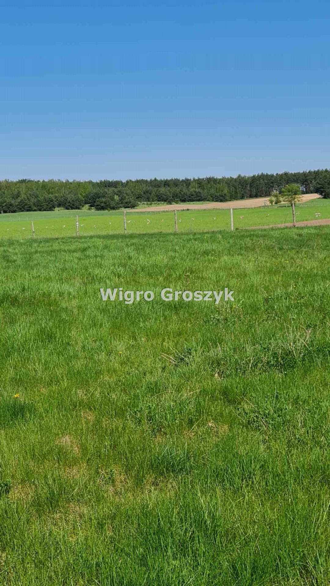 Działka rekreacyjna na sprzedaż Kwik, Kwik  2 000m2 Foto 3