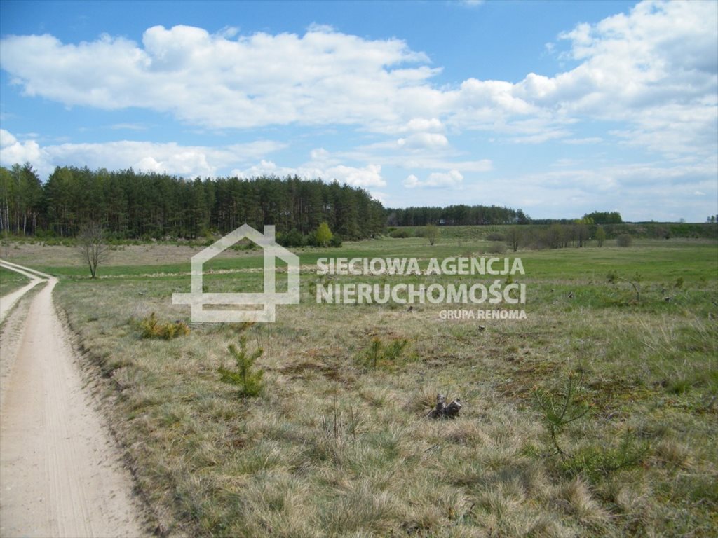 Duża działka rolna 4,19 ha z energią, lasy i spokój Cis  41 949m2 Foto 1