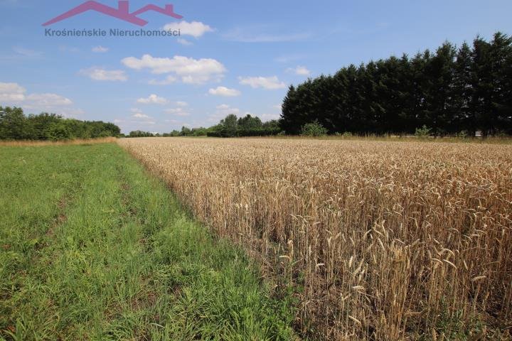 Działka budowlana na sprzedaż Łężany  3 930m2 Foto 4