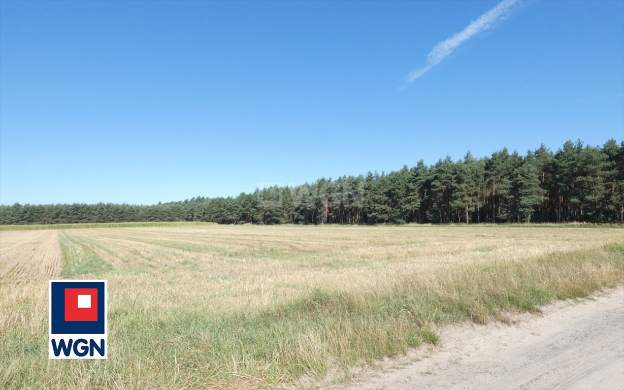 Ostatnie działki pod lasem w Rososzycy – idealne pod dom Sieroszewice, Rososzyca, Rososzyca  1 129m2 Foto 1