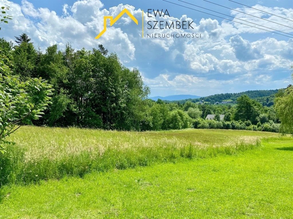 Polecam widokową działkę 40,2 ar w Młynnem z mediami i dostępem Młynne  4 020m2 Foto 1