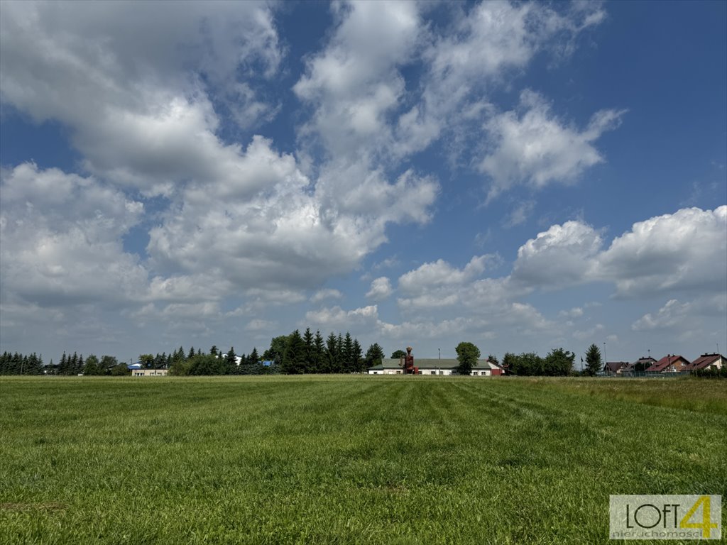 Działka budowlana na sprzedaż Borzęcin  2 600m2 Foto 2