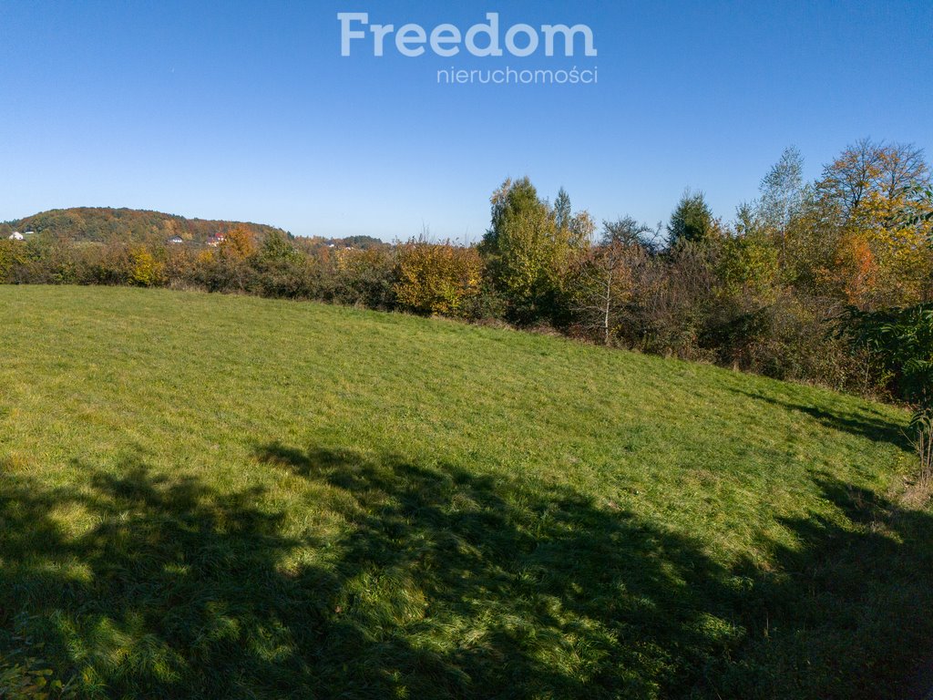 Działka budowlana na sprzedaż Raciechowice  4 600m2 Foto 5