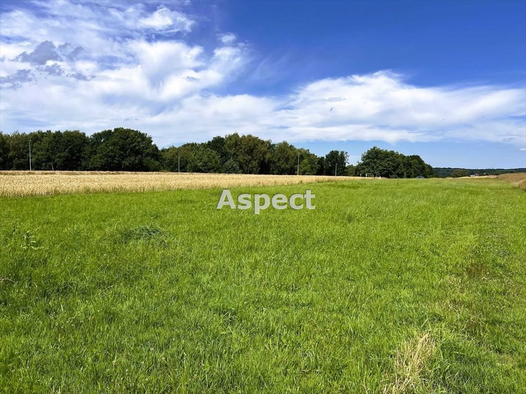 Działka budowlana na sprzedaż Marklowice  1 895m2 Foto 1
