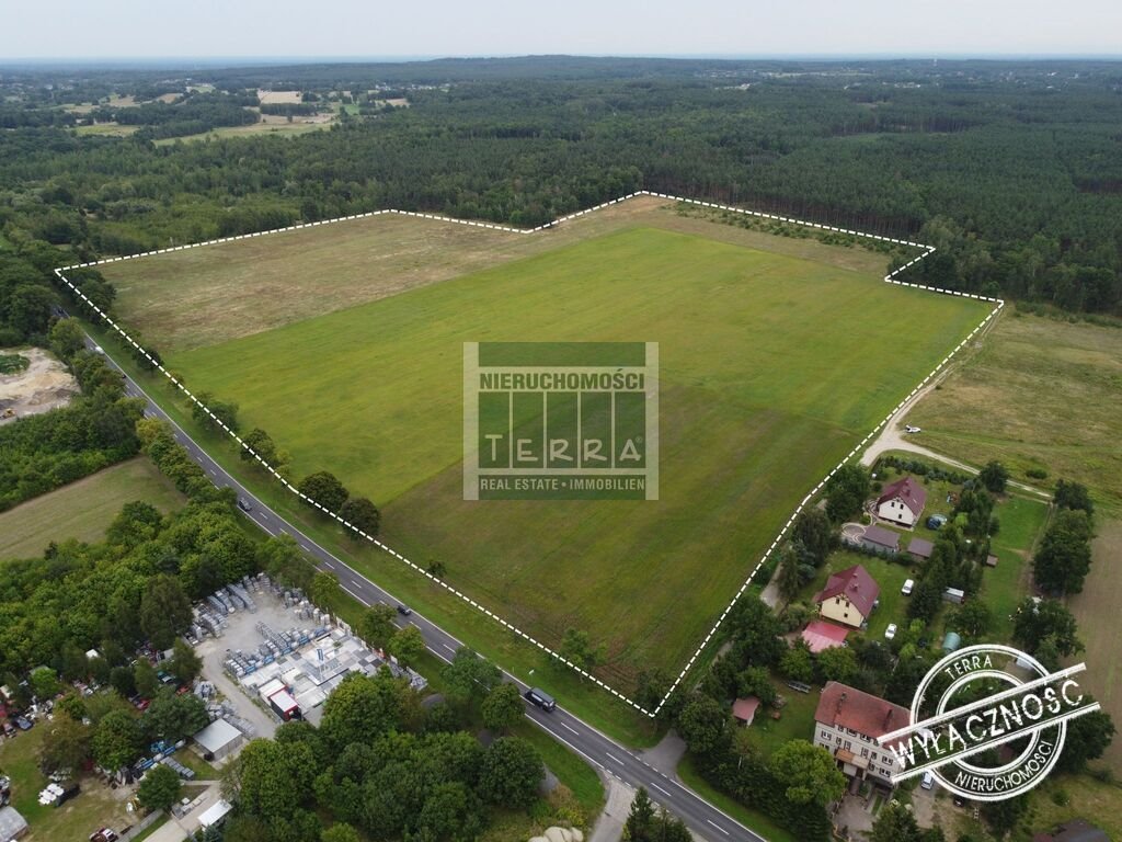 Działka inwestycyjna 18 ha z MPZP, dostęp do mediów Sieniawa Żarska  184 400m2 Foto 1