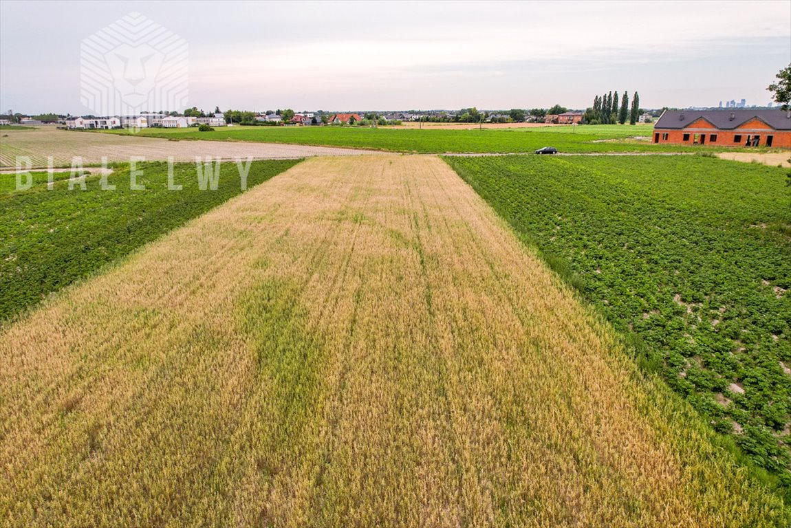 Działka przemysłowo-handlowa na sprzedaż Łady, Grudzi  4 157m2 Foto 8