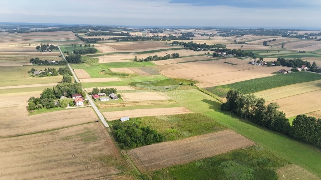 Działka siedliskowa na sprzedaż Boża Wola  9 100m2 Foto 5