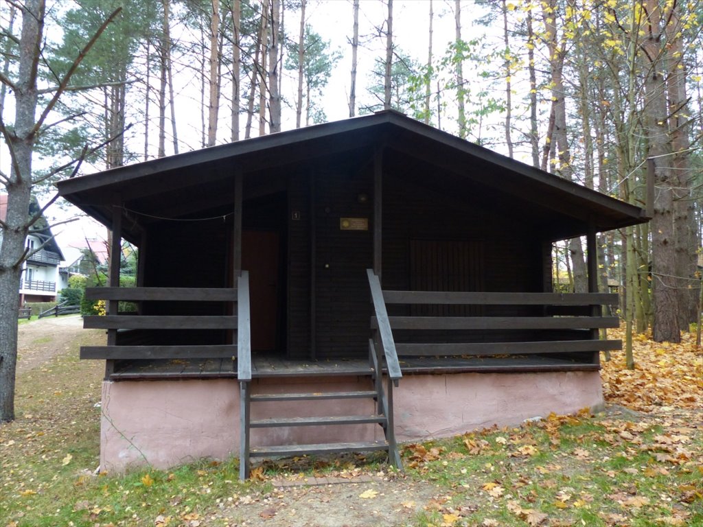 Lokal użytkowy na sprzedaż Biskupiec, Biskupiec, Wilimy  19 300m2 Foto 5