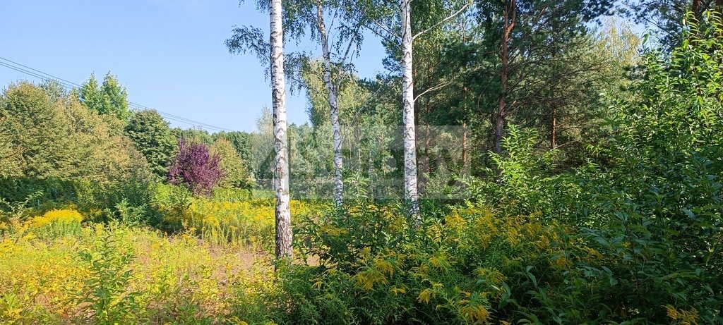 Działka 16 500 m² z mediami i lasem w Zalesiu Zalesie  16 500m2 Foto 1