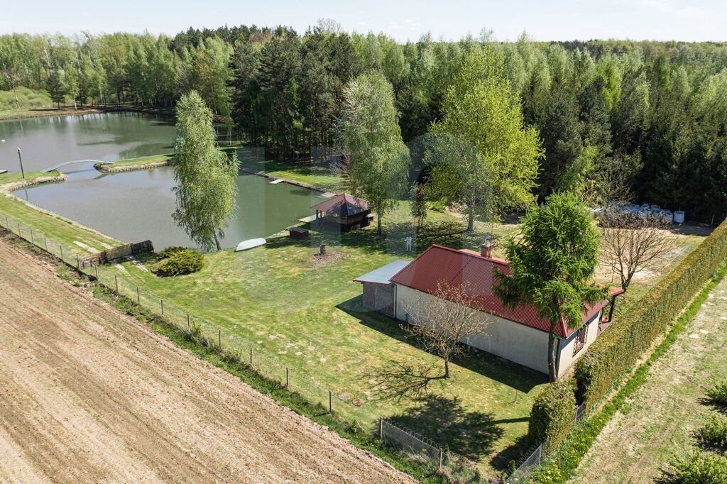 Działka siedliskowa na sprzedaż Zimnice  24 000m2 Foto 8