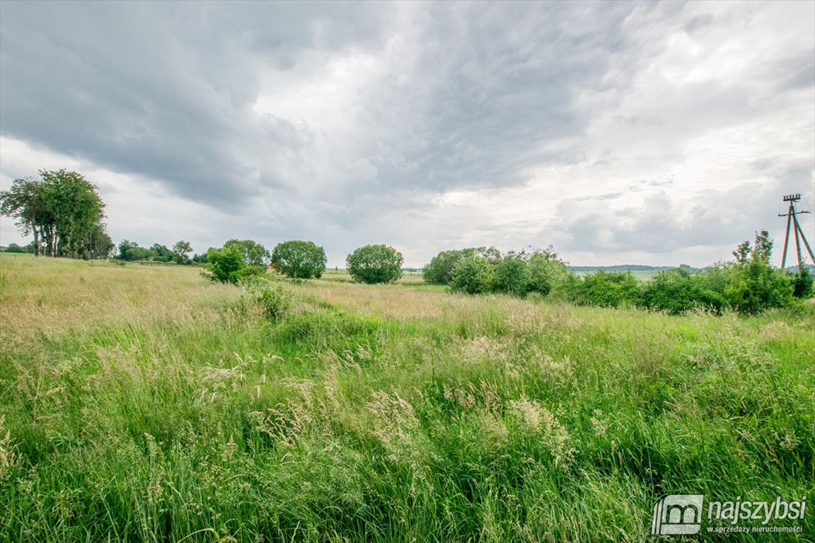 Działka rolna na sprzedaż Barwice, miasto  3 004m2 Foto 9