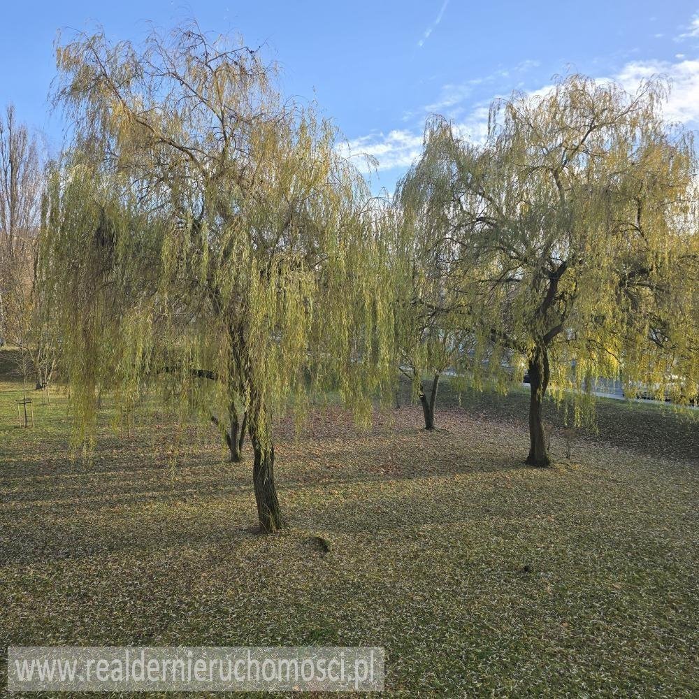 Mieszkanie dwupokojowe na wynajem Zielona Góra, Piastowskie  50m2 Foto 11