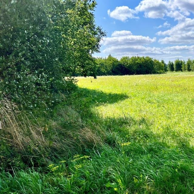 Działka budowlana na sprzedaż Budzistowo, Stare Miasto  2 387m2 Foto 9