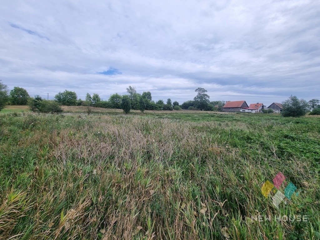 Działka rolna na sprzedaż Tuchlin  18 250m2 Foto 8