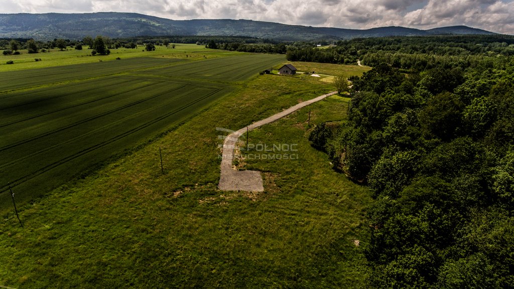 Działka budowlana na sprzedaż Polanica-Zdrój  783m2 Foto 7